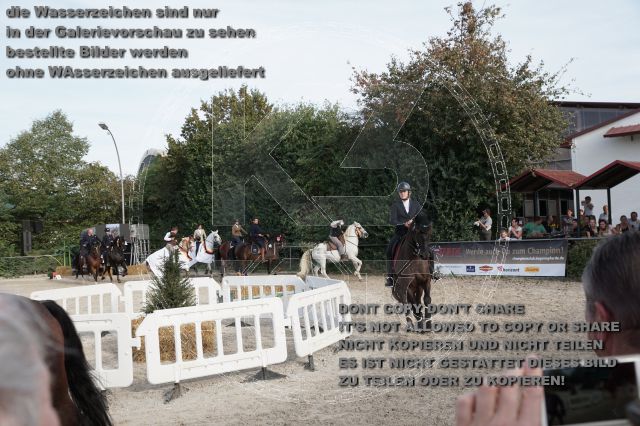 a_DSC06683.JPG